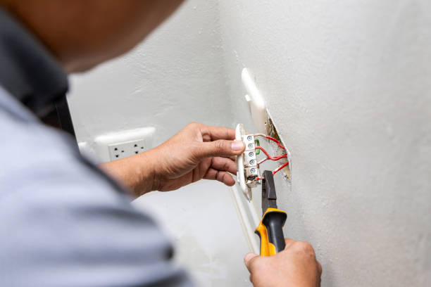Best Electric Panel Repair  in Leavittsburg, OH